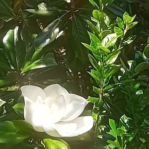 Meet your Posher, Tania